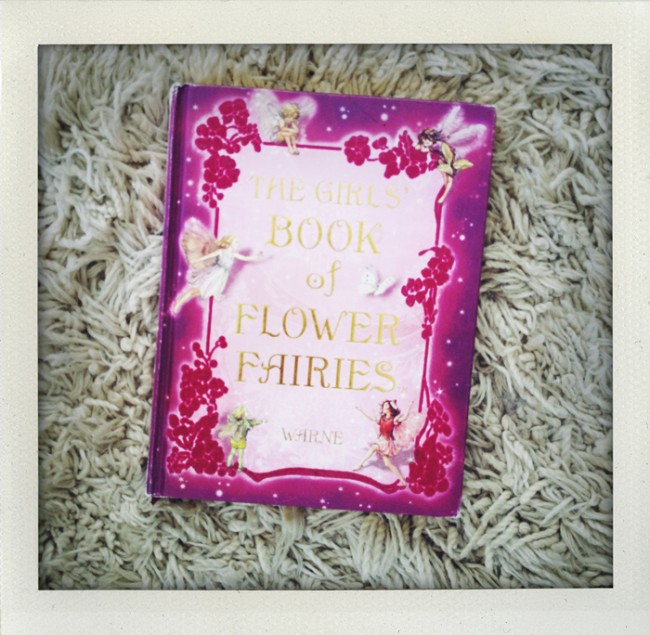 The ultimate guide to the world of the flower fairies.