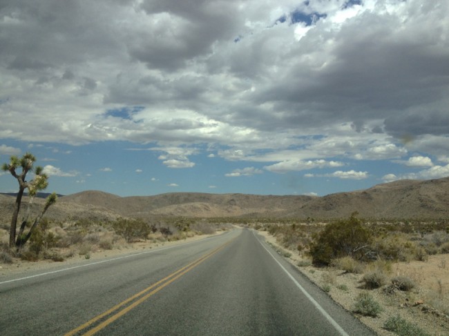 On the road in Joshua Tree National Park.