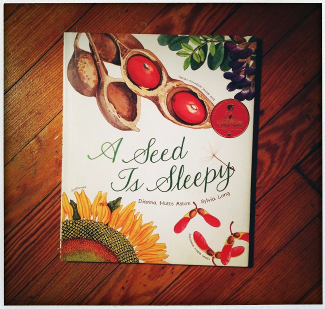 A Seed Is Sleepy by Dianna Hutts Aston and Sylvia Long.