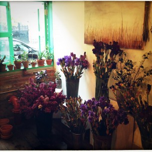 Fox Fodder Farm williamsburg pop up