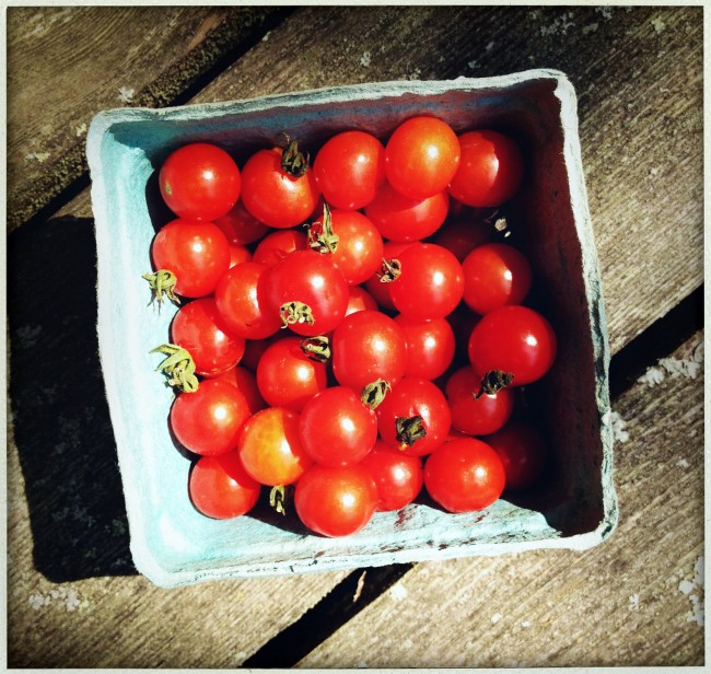 These are the cherry tomatoes that made it home after a trip to Amber Waves. The rest are in our bellies...