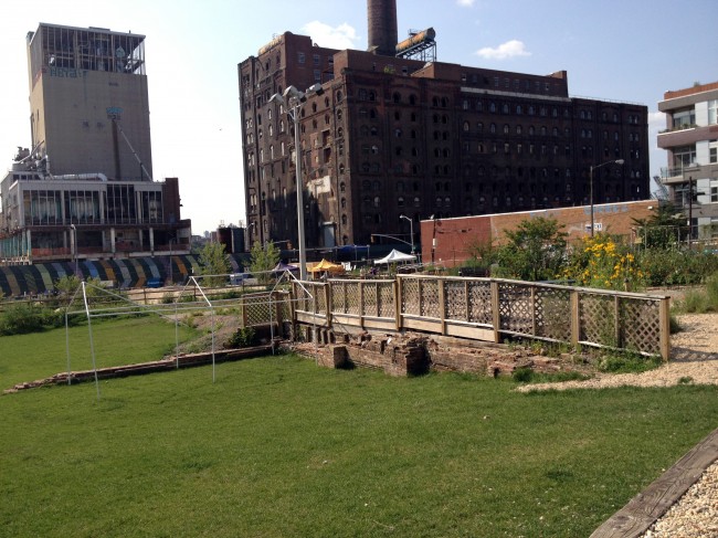 A beautiful lawn looking towards the farm with the Domino Sugar Factory in the background.