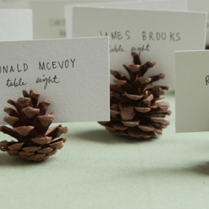 pine cone place cards
