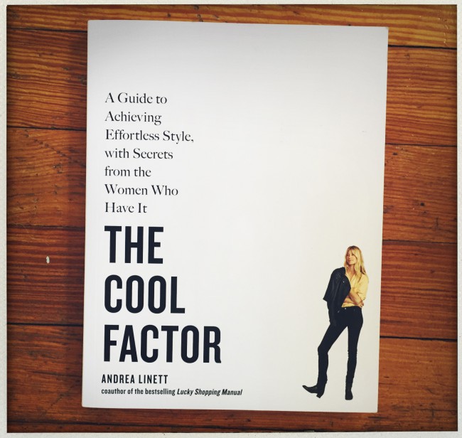 the cool factor by andrea linett
